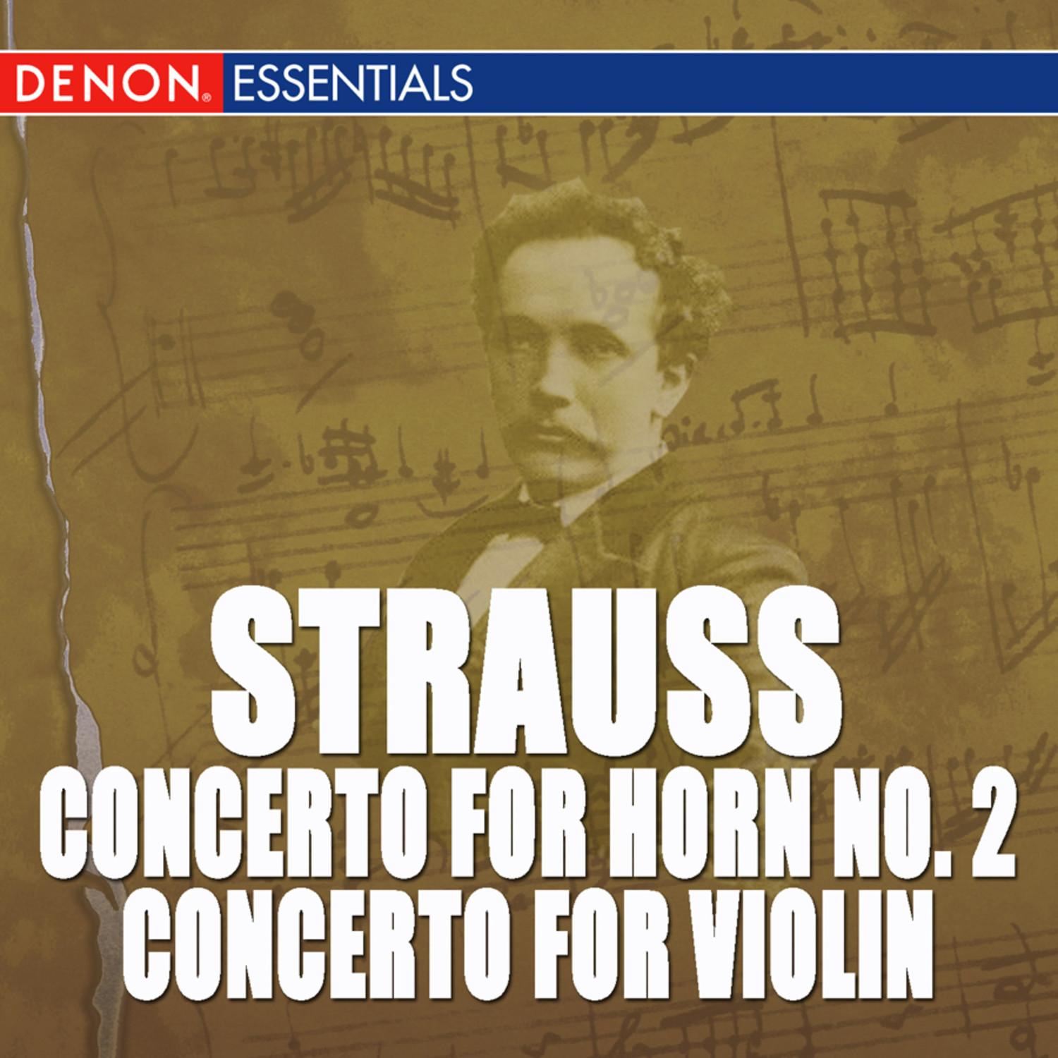 Concerto for Violin and Orchestra in D Minor, Op. 8: I. Allegro