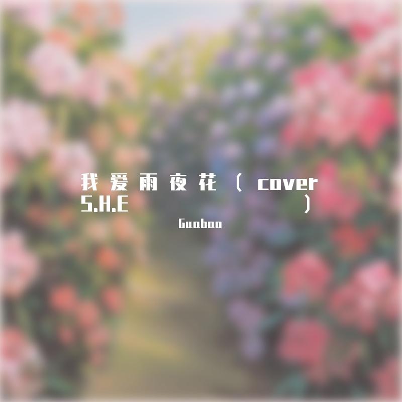 我爱雨夜花 （cover S.H.E)封面