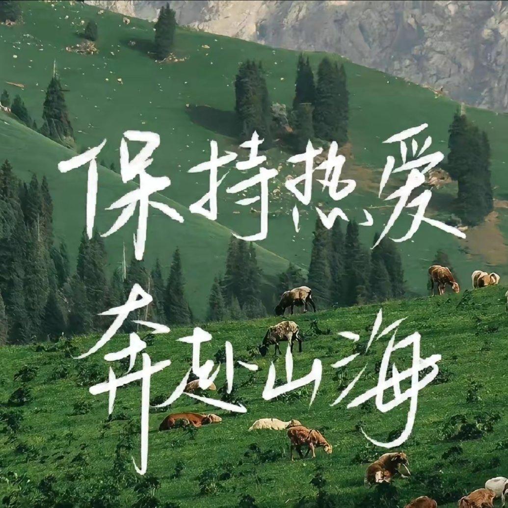 错过不错封面