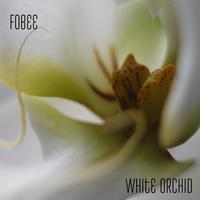 White Orchid