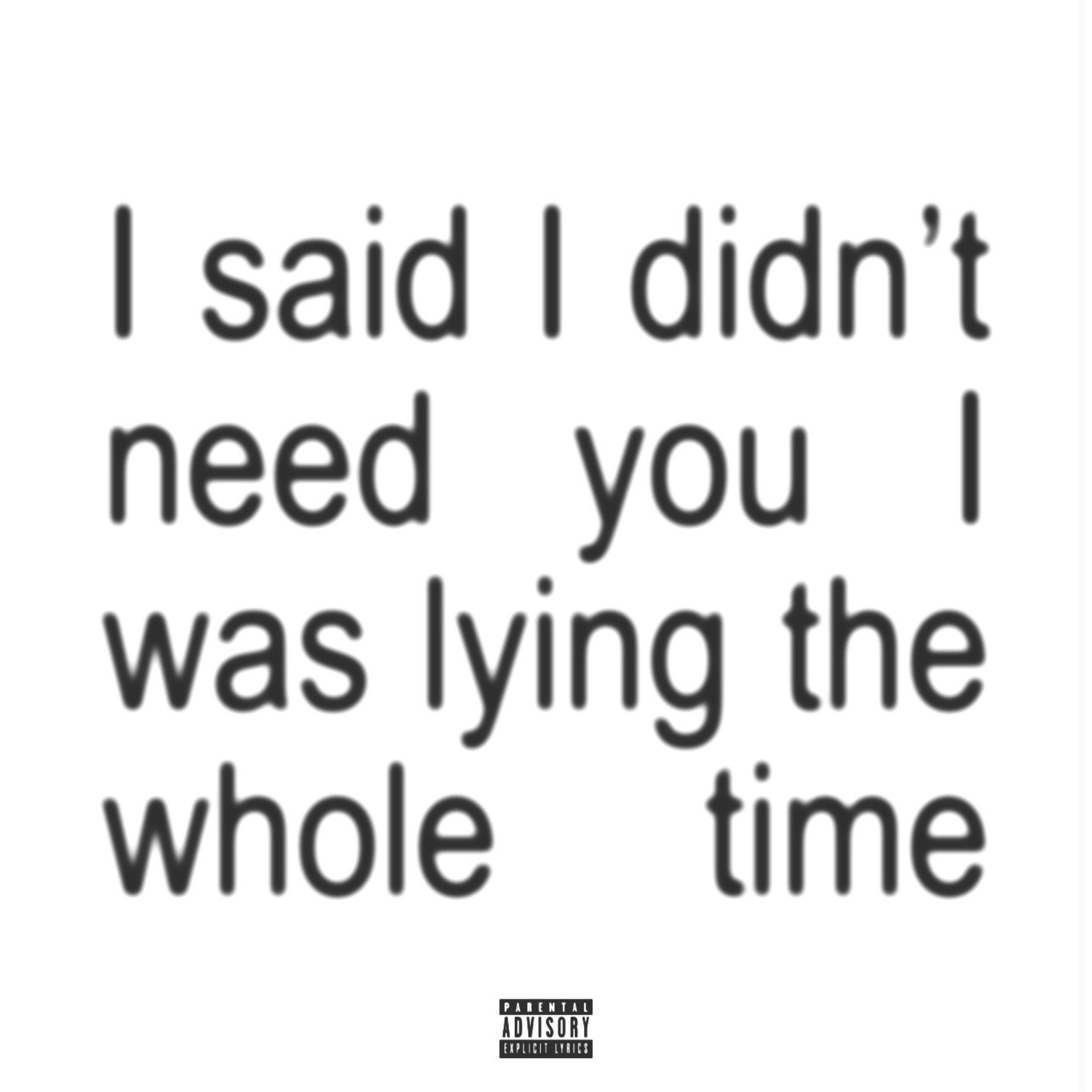 i said i didn't need you i was lying the whole time