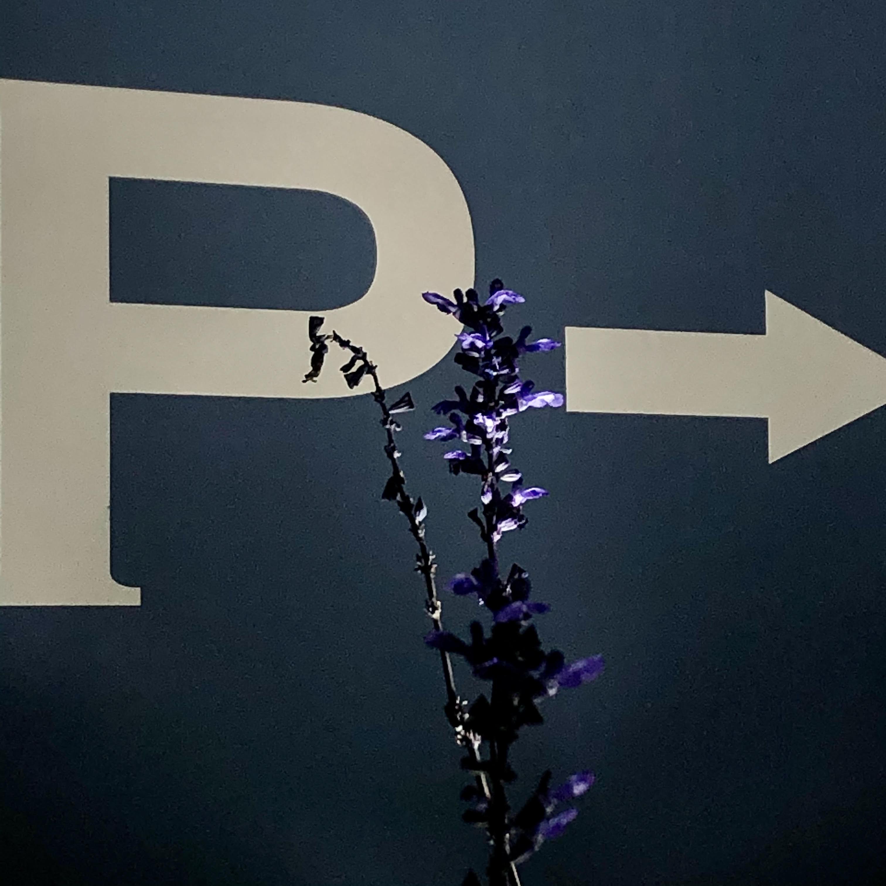 So Re Ka La No Ko To