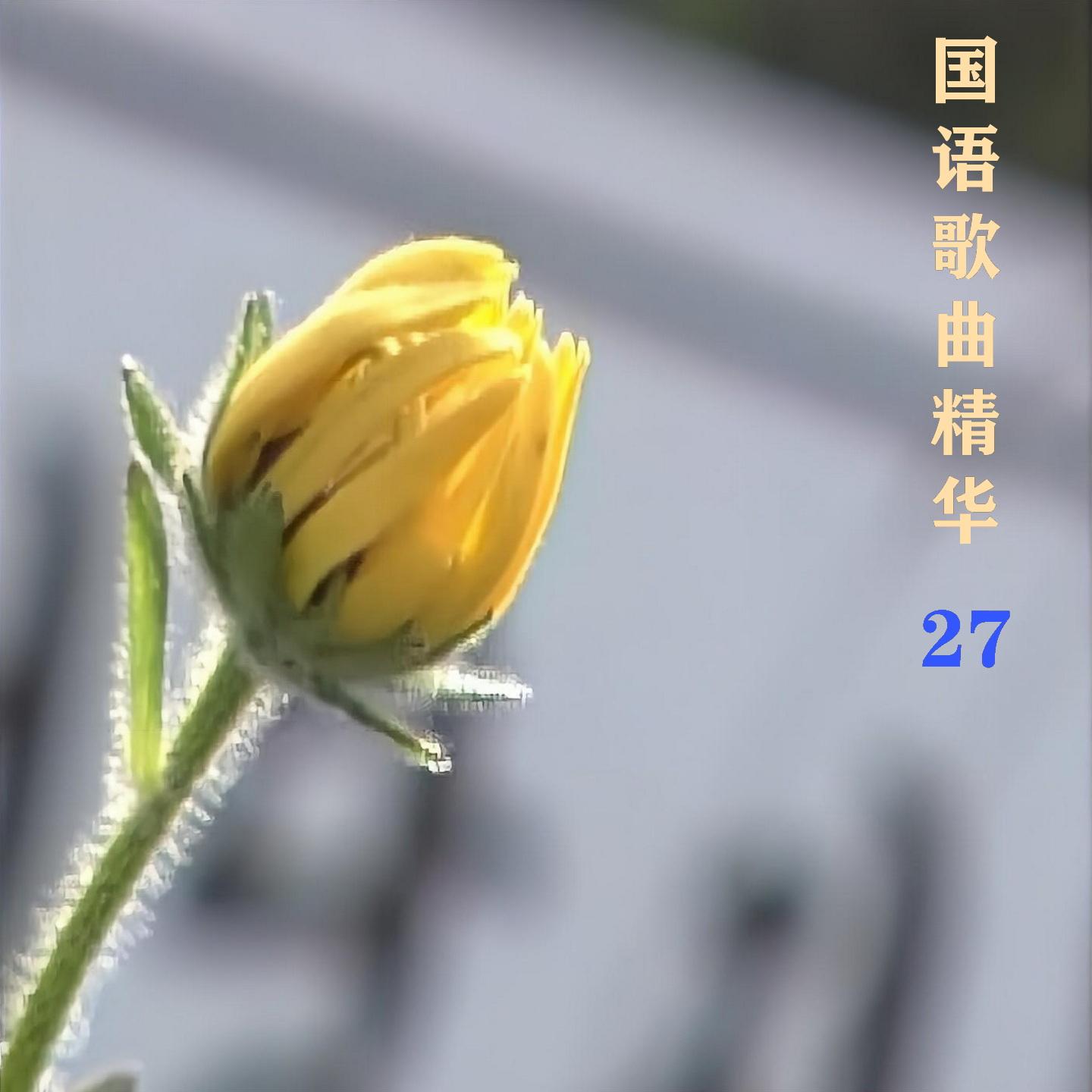 一见你就笑封面
