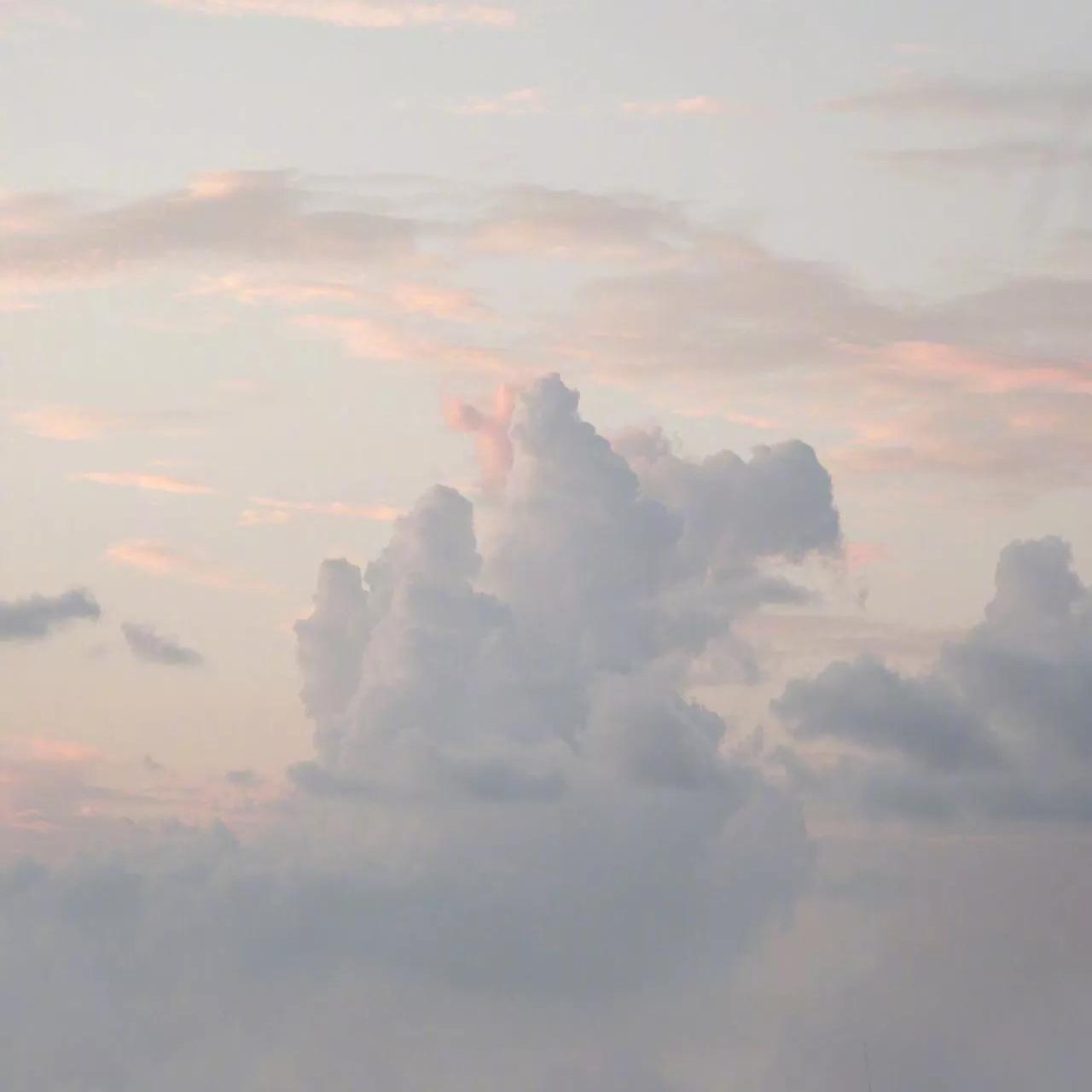 月光（cover 金弦）