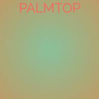 Palmtop