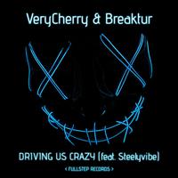 Driving Us Crazy (feat. Steelyvibe) [with Breaktur]