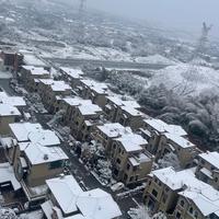 市丸銀