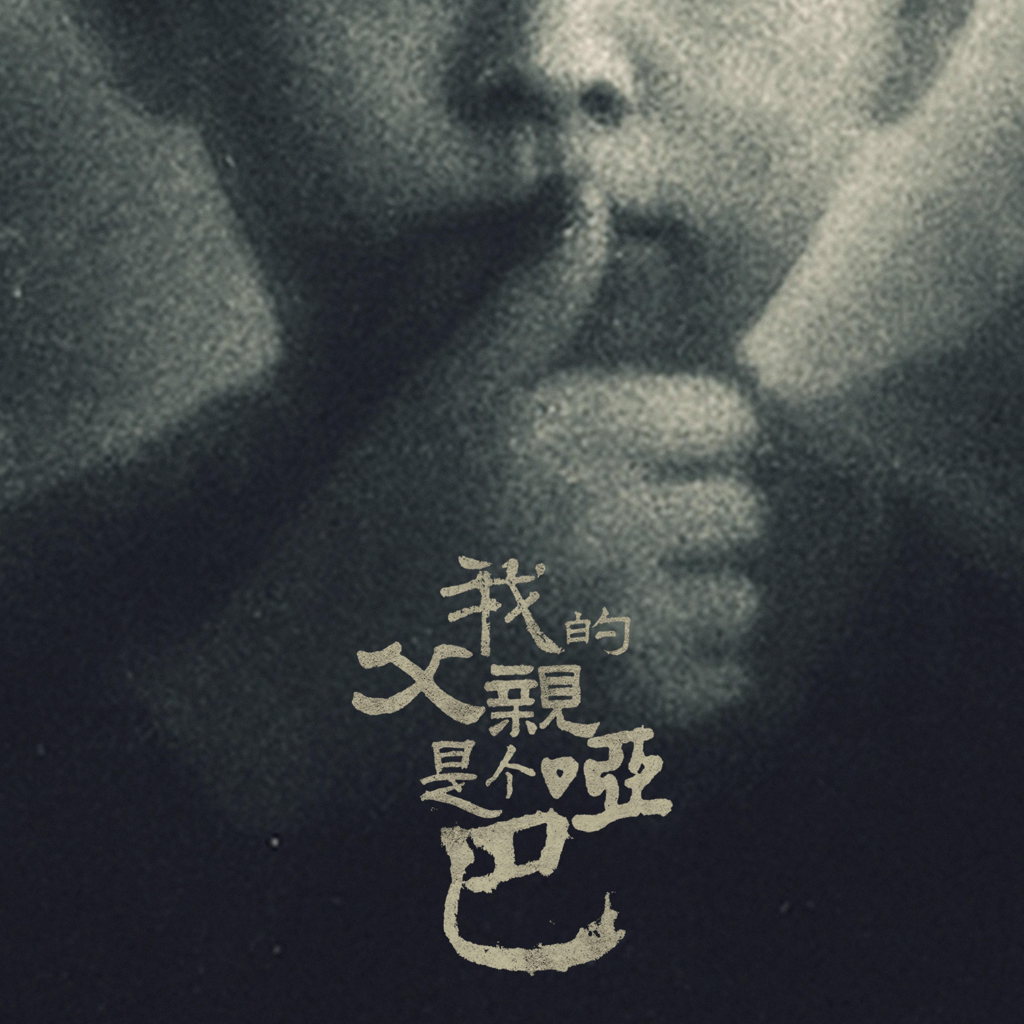 我的父亲是个哑巴封面