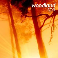 Woodland Spa