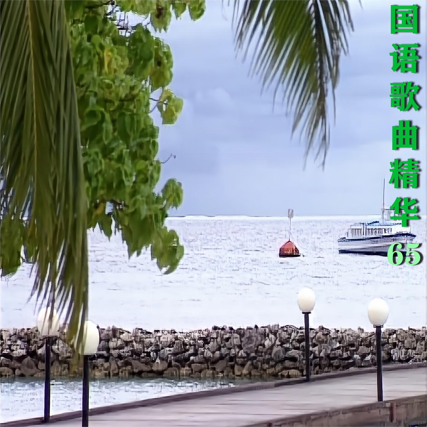 风干我的悲伤封面