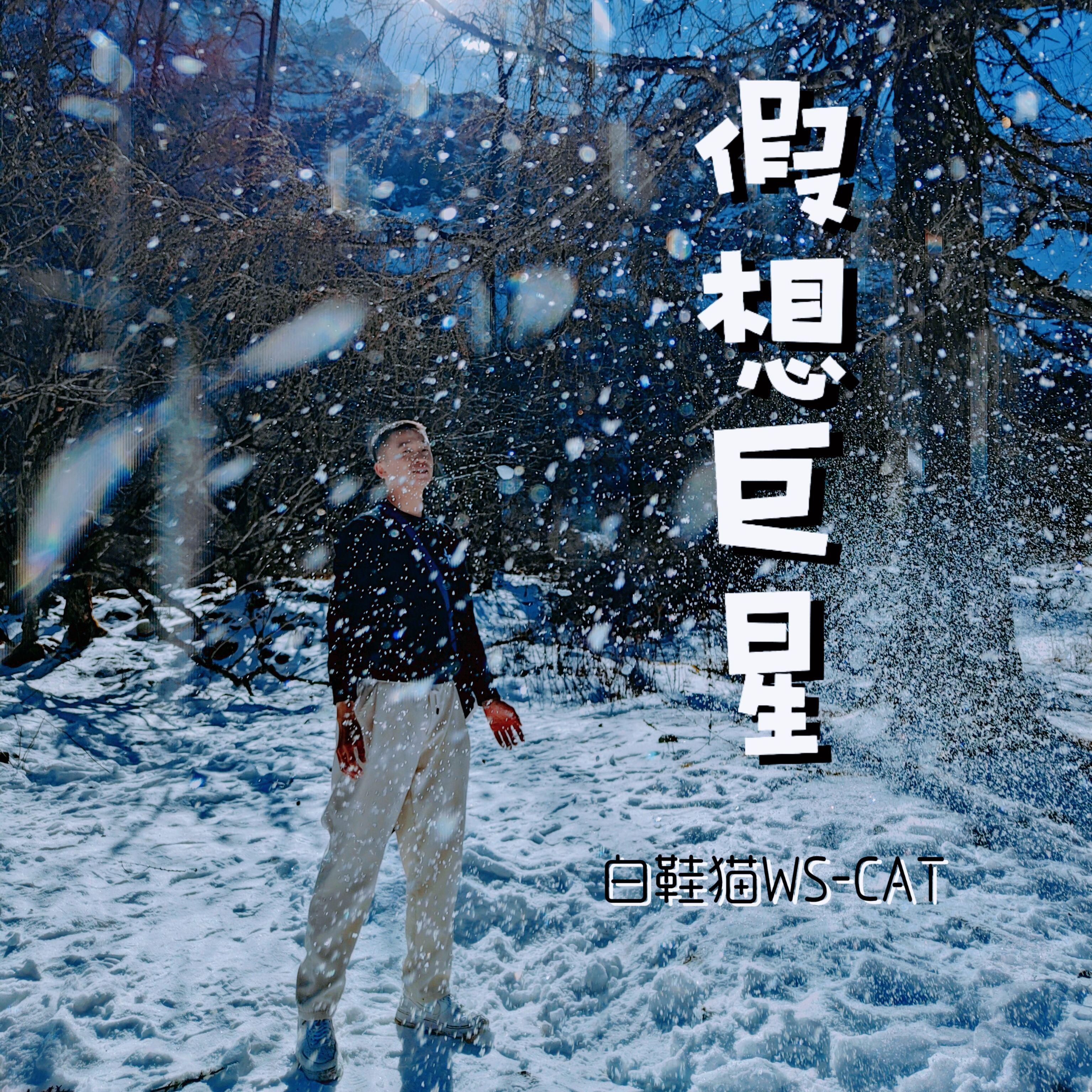 结果咧（cover：大嘴巴）封面