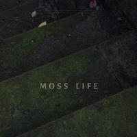 蘚人为知 MOSS LIFE