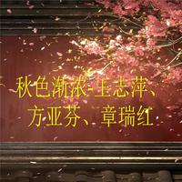 秋色渐浓