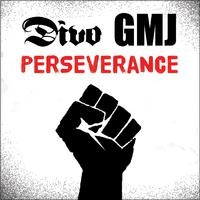 Perseverance