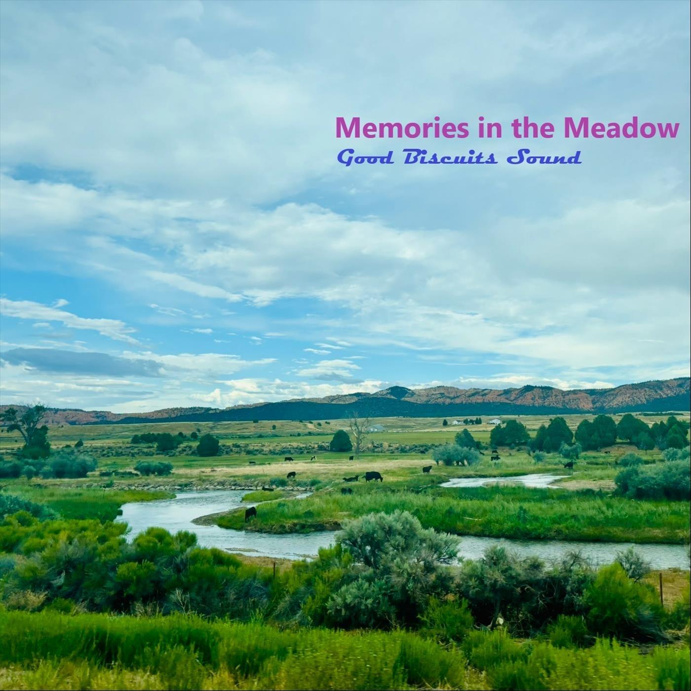 Living in the Airplane