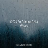 #2024 50 Calming Delta Waves