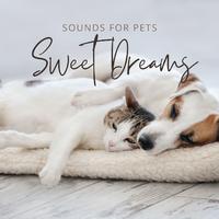 Sweet Dreams Sounds for Pets: Soft and Quiet Music for Anxious Pets