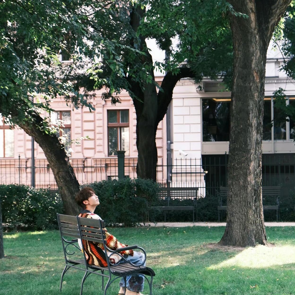 蒲公英（Dandelion）中文填词版（翻自 夫胜宽）