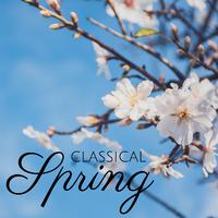 Classical Spring