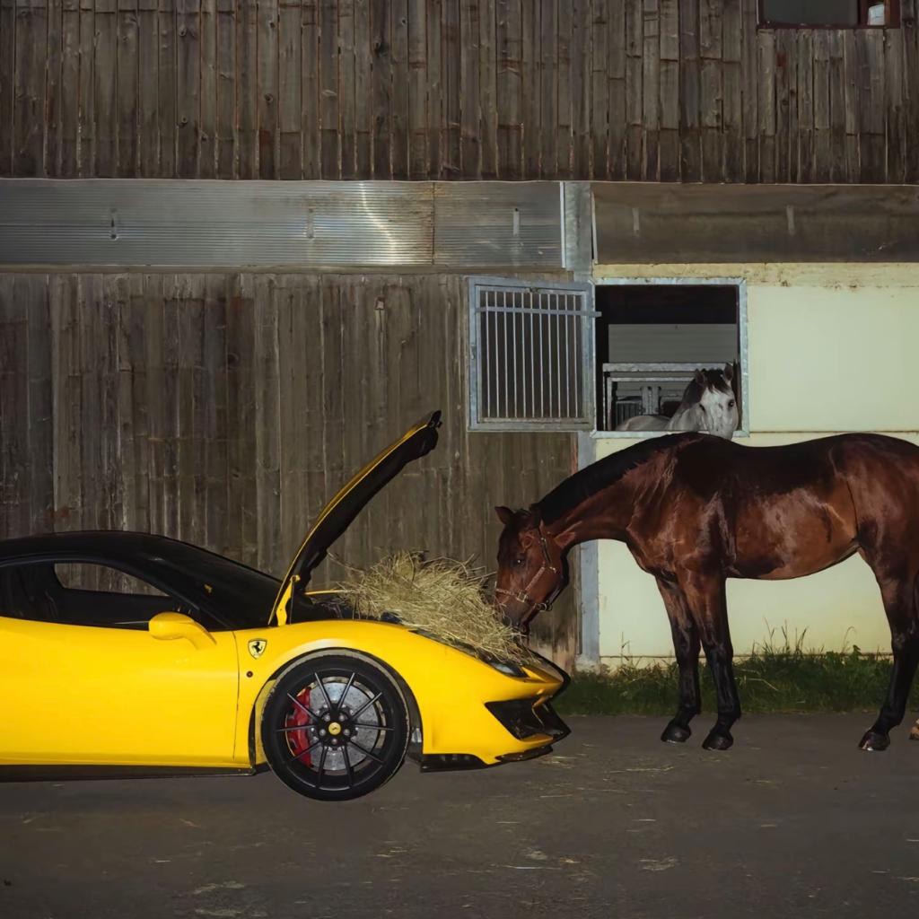 「硬曲」私人專用旋律EDM