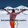 ZINOVEV - Sena Sener-FIy Above