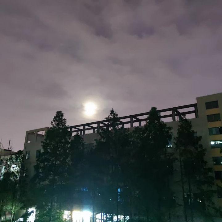不完整的旋律封面