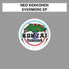 Neo Kekkonen - Memory Of Three