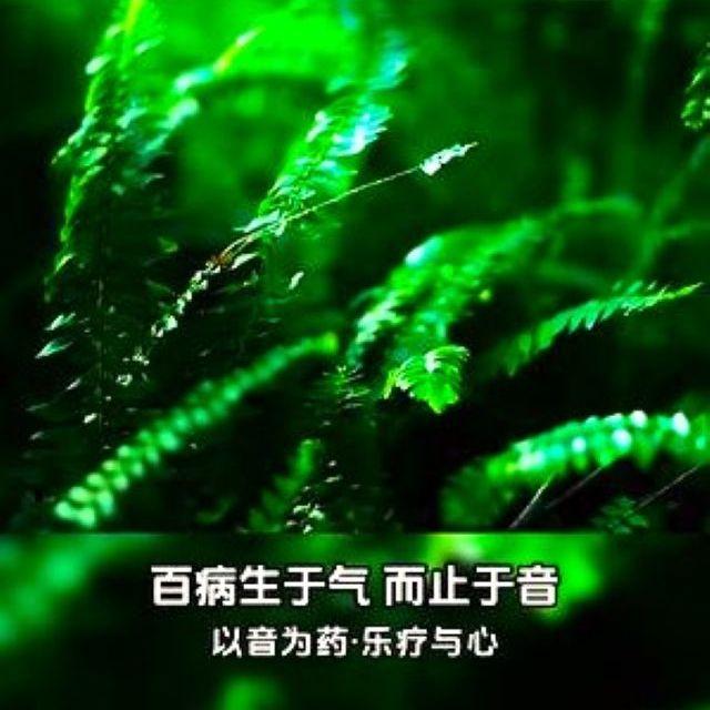 清音菩提·放松/治愈