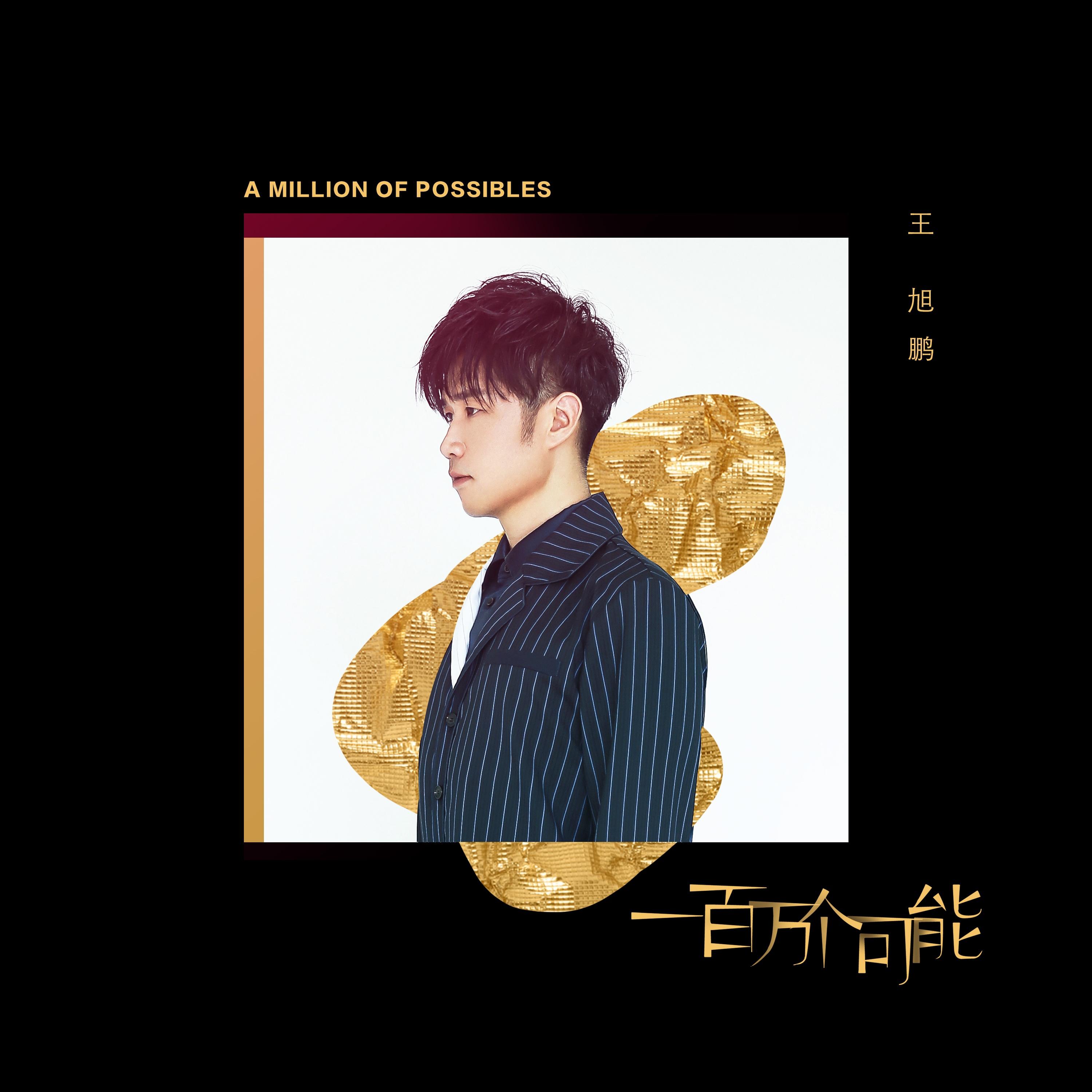 一百万个可能 (伴奏)封面