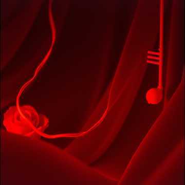 红玫瑰 - 江越封面