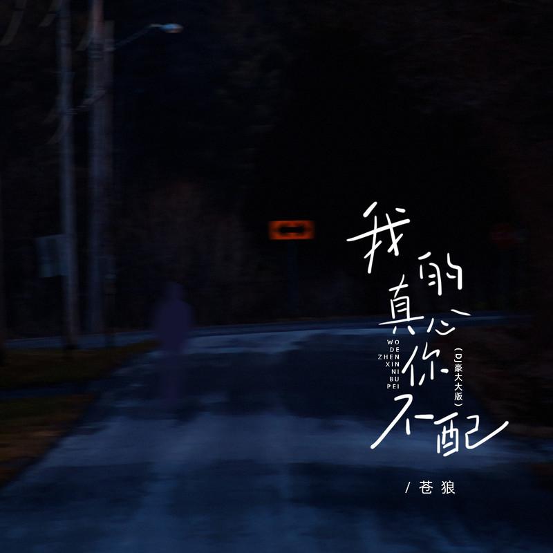我的真心你不配 (DJ豪大大版)封面