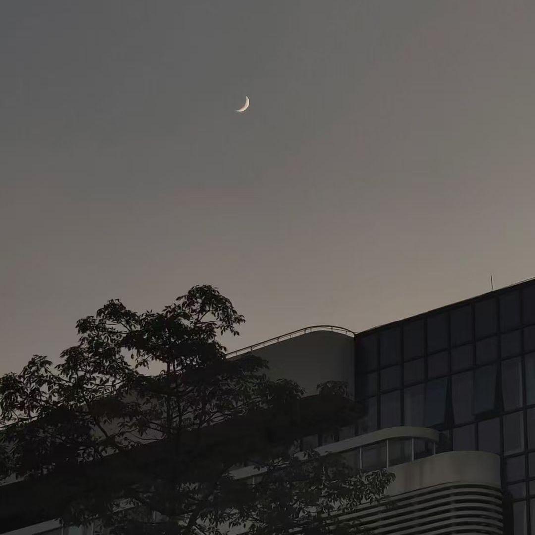 迷途（PROD BY MEGA）