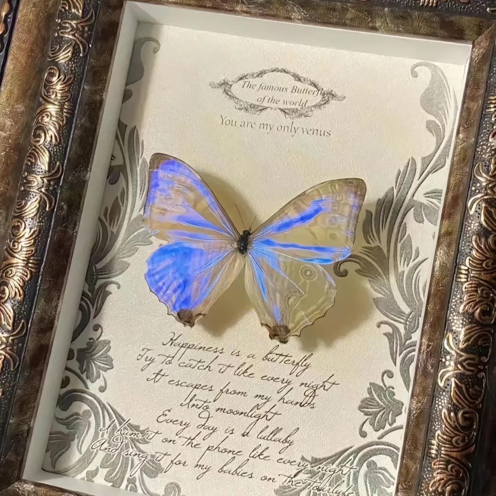 一个狮子座喜欢听的英文歌单