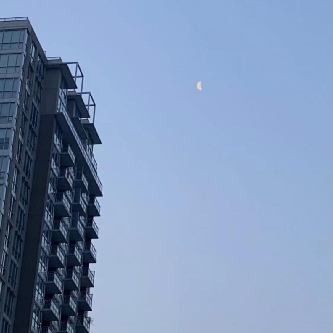 黄粱梦demo封面