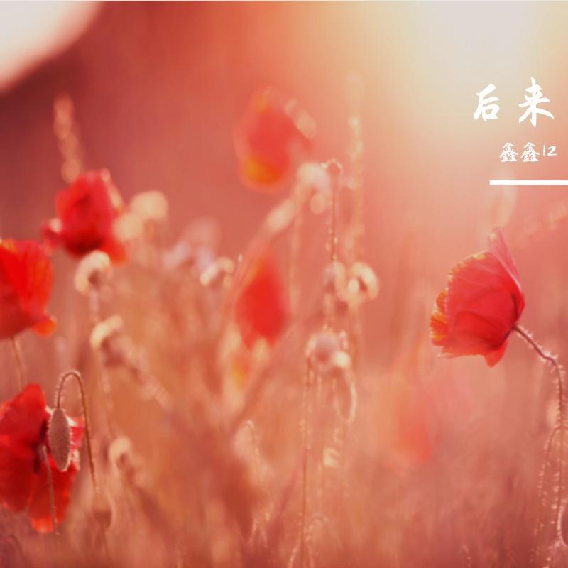 放在心里面 - 鑫鑫12封面