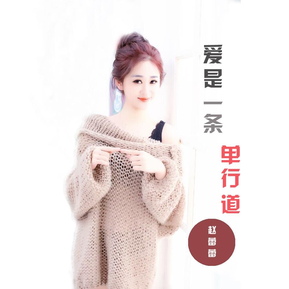 爱是一条单行道 - 赵蕾蕾封面