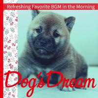 Dog’s Dream - Warm and Bright