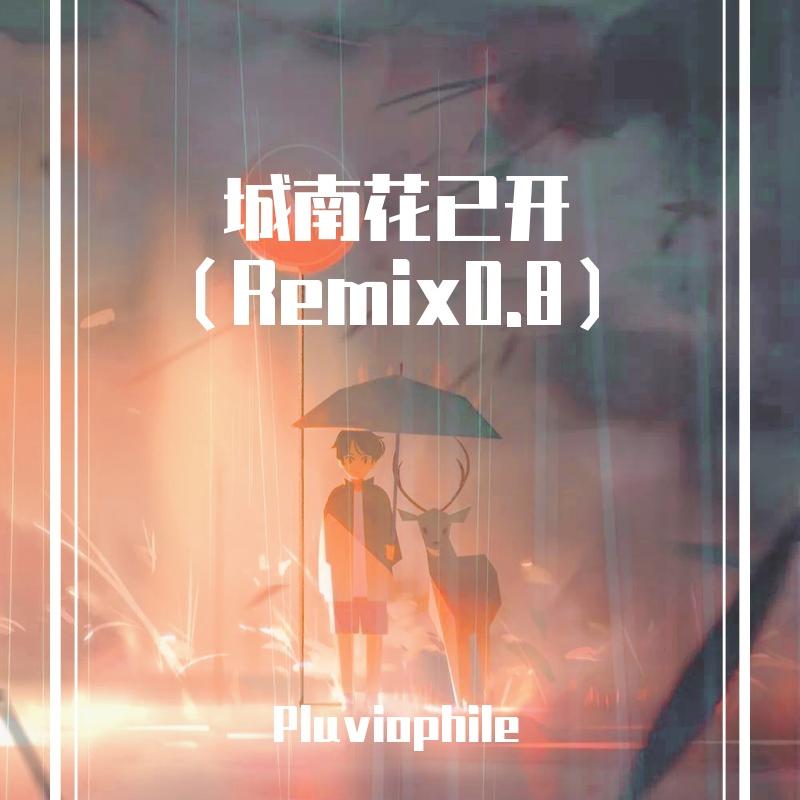 城南花已开（remix0.8）封面