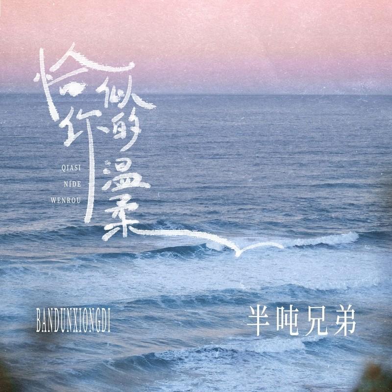 恰似你的温柔封面