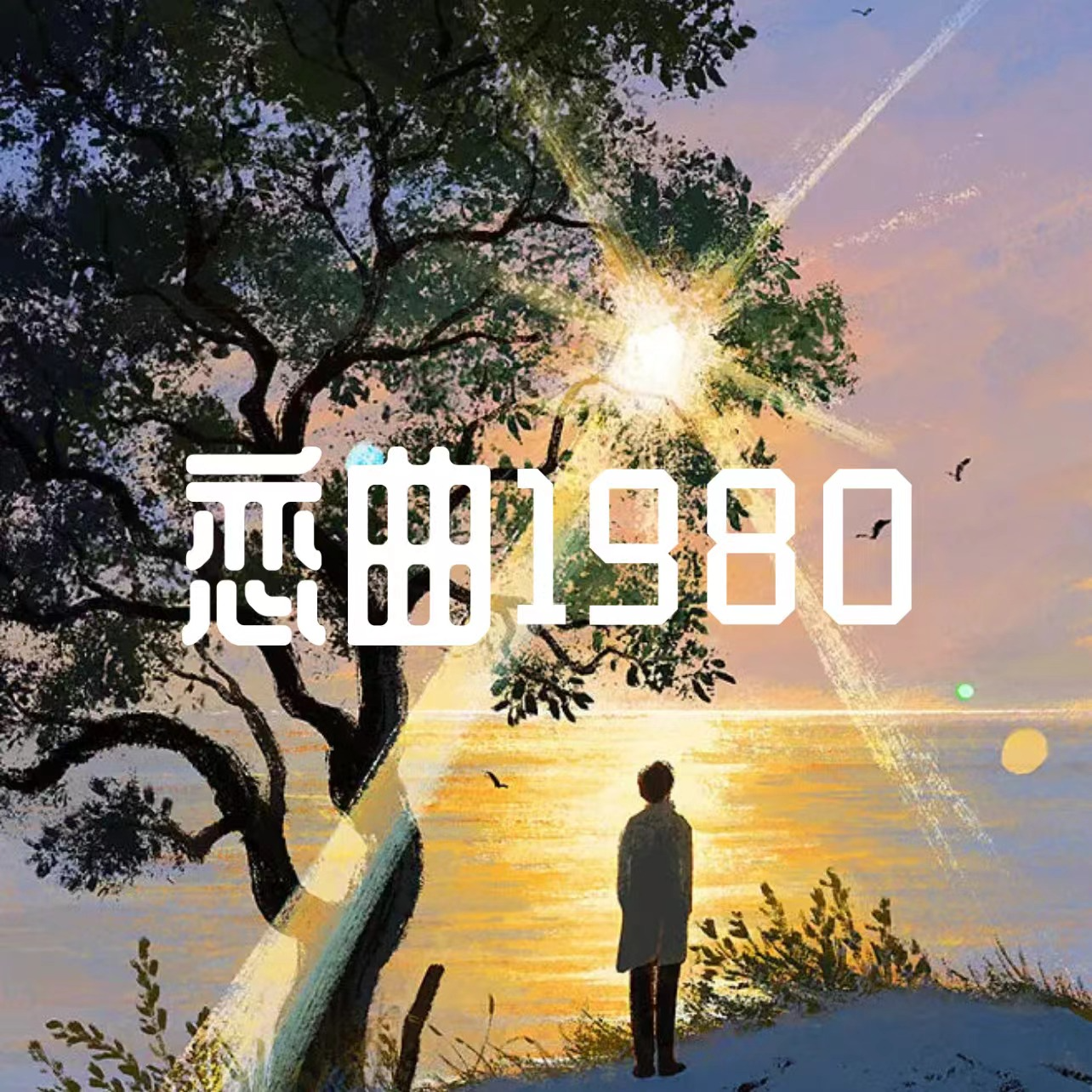 恋曲1980封面