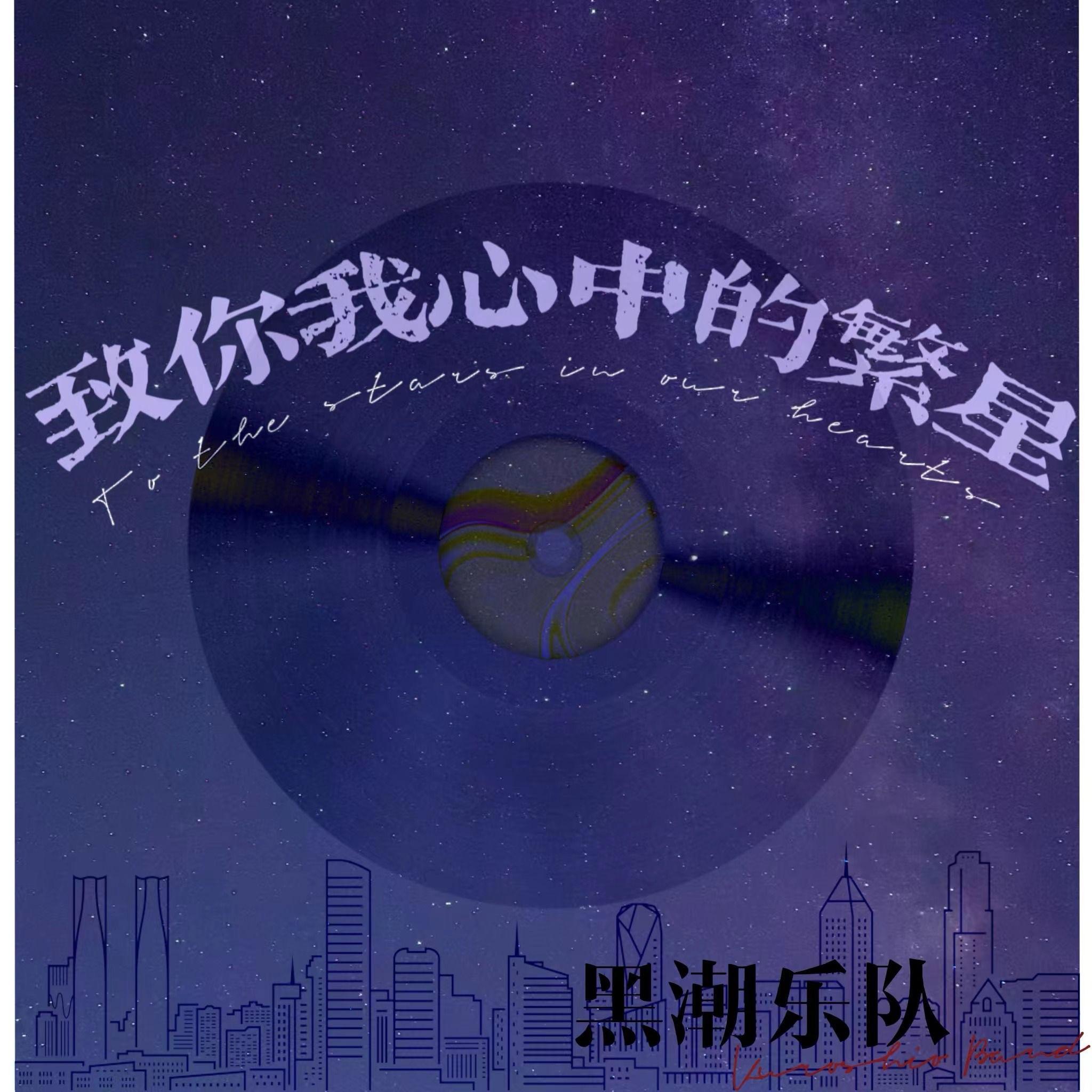 致你我心中的繁星封面