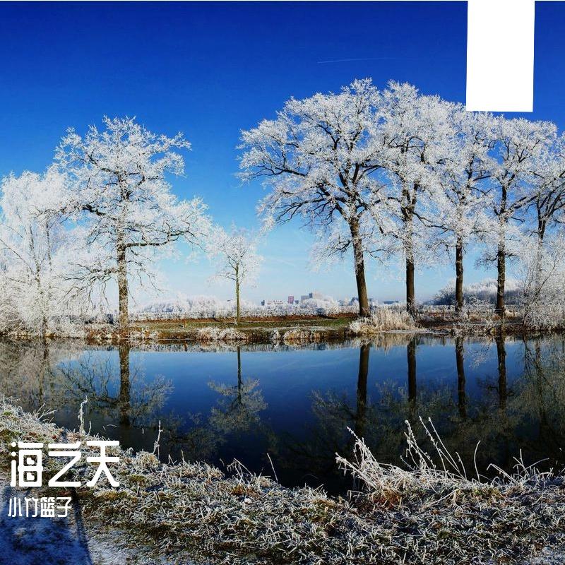 爱情火花_ - 小竹篮子封面