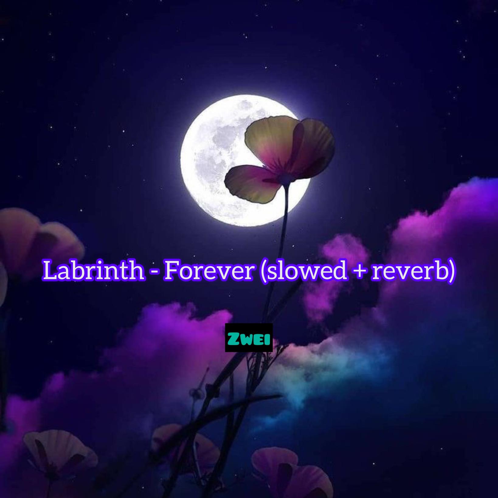 Labrinth - Forever (slowed + reverb)