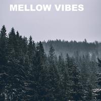 Mellow Vibes (Remix)