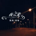 夜之光 (DJ版)封面