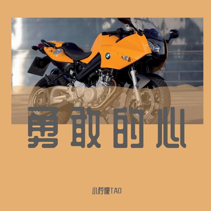 野蛮封面