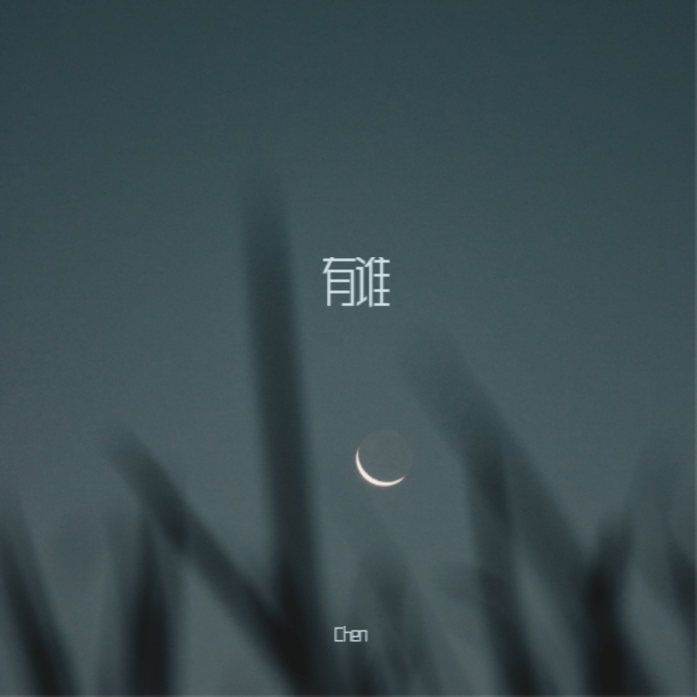 有谁封面