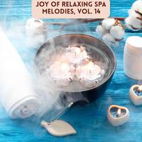 Joy of Relaxing Spa Melodies, Vol. 14