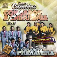 Puras Cumbias Con Sabor a Chihuahua, Vol. 2