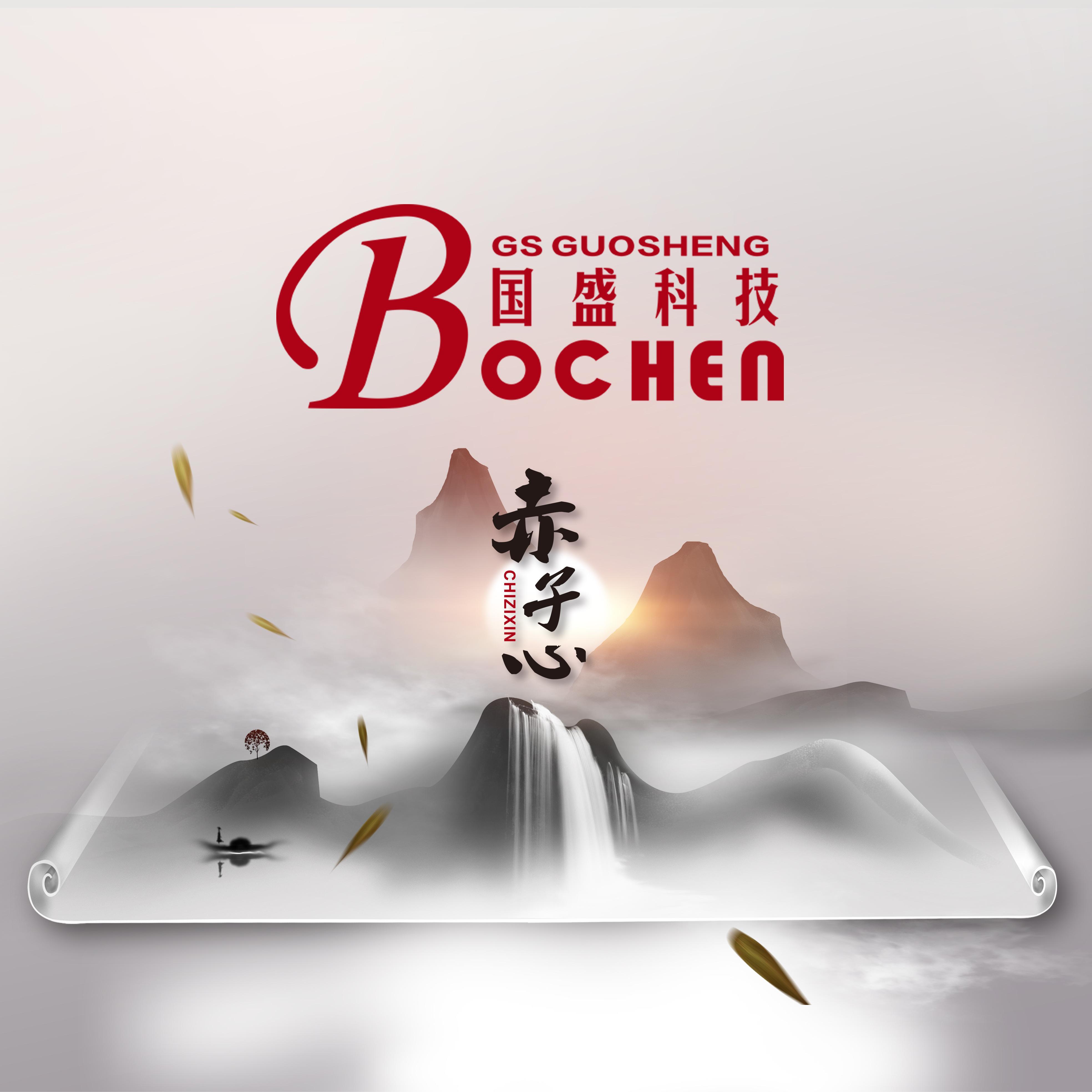 赤子心封面